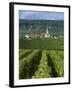 Chamery, Montagne De Reims, Champagne, France, Europe-Miller John-Framed Photographic Print