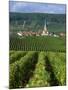 Chamery, Montagne De Reims, Champagne, France, Europe-Miller John-Mounted Photographic Print