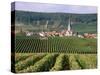 Chamery, Montagne De Reims, Champagne, France-John Miller-Stretched Canvas