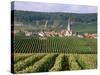 Chamery, Montagne De Reims, Champagne, France-John Miller-Stretched Canvas