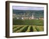 Chamery, Montagne De Reims, Champagne, France-John Miller-Framed Photographic Print