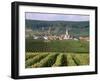 Chamery, Montagne De Reims, Champagne, France-John Miller-Framed Photographic Print