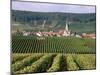 Chamery, Montagne De Reims, Champagne, France-John Miller-Mounted Photographic Print