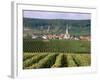 Chamery, Montagne De Reims, Champagne, France-John Miller-Framed Photographic Print