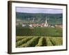 Chamery, Montagne De Reims, Champagne, France-John Miller-Framed Photographic Print