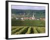 Chamery, Montagne De Reims, Champagne, France-John Miller-Framed Photographic Print