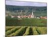 Chamery, Montagne De Reims, Champagne, France-John Miller-Mounted Photographic Print