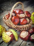 Pomegranate, Juice in Glass, Mortar and Pestle on Wooden Table-ChamilleWhite-Photographic Print