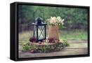 Framed Canvas