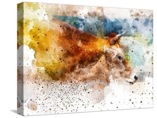 Stretched Canvas Print, , large