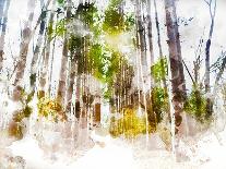 Forest Road I-Chamira Young-Art Print