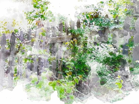 Art Print, , large