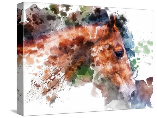 Stretched Canvas Print, , large
