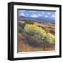 Chamisa I-Tim OToole-Framed Art Print