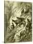 Chamois Austria 1891-null-Stretched Canvas