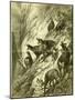 Chamois Austria 1891-null-Mounted Giclee Print