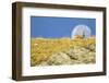 Chamois walking with the moon behind, Mercantour National Park, France, October.-David Allemand-Framed Photographic Print