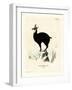 Chamois-null-Framed Giclee Print