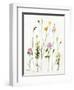 Chamomile, Clover and Dandelion-Janel Bragg-Framed Art Print