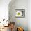 Chamomile Flower And Ladybird-Adrian Bicker-Framed Photographic Print displayed on a wall