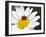 Chamomile Flower And Ladybird-Adrian Bicker-Framed Photographic Print