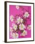 Chamomile Flowers-Elisabeth Cölfen-Framed Photographic Print