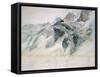 Chamonix, Aiguille Charmoz, from a Window of the Union, 1849-John Ruskin-Framed Stretched Canvas