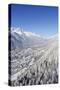 Chamonix, Haute-Savoie, French Alps, France, Europe-Christian Kober-Stretched Canvas