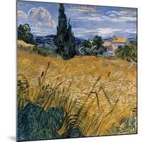 Champ de blé vert avec cypres (Détail)-Vincent van Gogh-Mounted Art Print
