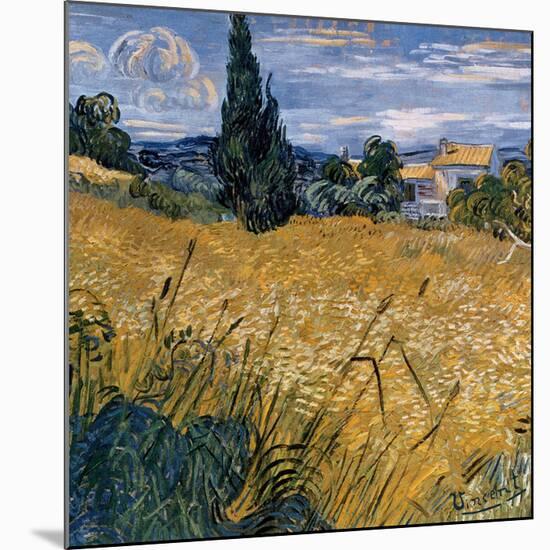 Champ de blé vert avec cypres (Détail)-Vincent van Gogh-Mounted Art Print