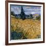 Champ de blé vert avec cypres (Détail)-Vincent van Gogh-Framed Art Print