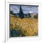 Champ de blé vert avec cypres (Détail)-Vincent van Gogh-Framed Art Print