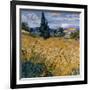 Champ de blé vert avec cypres (Détail)-Vincent van Gogh-Framed Art Print