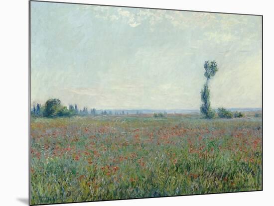 Champ de coquelicots - Poppy Field. 1881-Claude Monet-Mounted Giclee Print