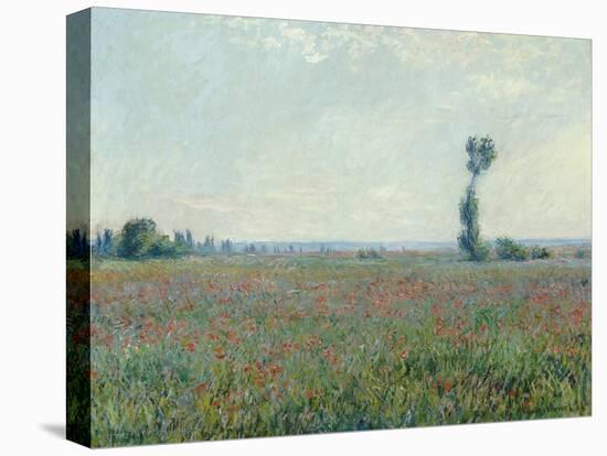 Champ de coquelicots - Poppy Field. 1881-Claude Monet-Stretched Canvas