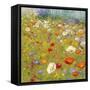 Champ de Fleur II-Shirley Novak-Framed Stretched Canvas