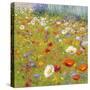 Champ de Fleur II-Shirley Novak-Stretched Canvas