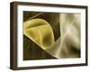 Champagne Abstract II-Alan Hausenflock-Framed Photographic Print