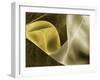 Champagne Abstract II-Alan Hausenflock-Framed Photographic Print