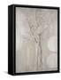 Champagne Blossoms-Liz Jardine-Framed Stretched Canvas