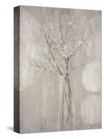 Champagne Blossoms-Liz Jardine-Stretched Canvas