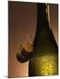 Champagne Bottle with Cork-Joerg Lehmann-Mounted Photographic Print