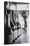 Champagne Bottles in a Row-Walter Bibikow-Stretched Canvas