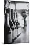 Champagne Bottles in a Row-Walter Bibikow-Mounted Premium Photographic Print