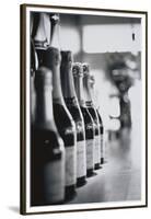 Champagne Bottles in a Row-Walter Bibikow-Framed Premium Photographic Print