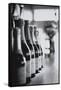 Champagne Bottles in a Row-Walter Bibikow-Framed Stretched Canvas