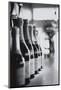 Champagne Bottles in a Row-Walter Bibikow-Mounted Photographic Print