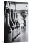 Champagne Bottles in a Row-Walter Bibikow-Stretched Canvas