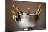 Champagne Bottles in an Ice Bucket-null-Mounted Photo