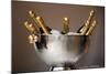 Champagne Bottles in an Ice Bucket-null-Mounted Photo